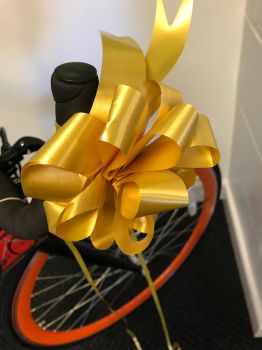 Picture of Quella bike