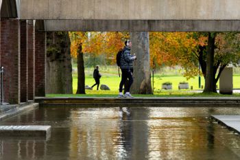 Falmer Moat in autumn