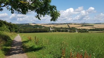 Woodingdean to Falmer cycle and pedestrian path