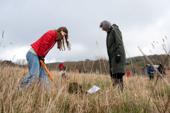 Staff volunteers work with students to plant the forest food garden (3)