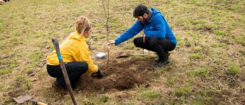 Staff volunteers work with students to plant the forest food garden (4)