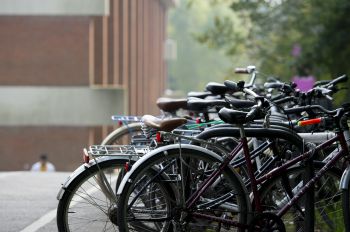 Bikes locked to bike racks