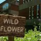 wooden sign saying wild flower in front of a meadow
