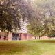 Trees on campus with an autumnal filter