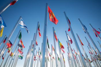UN flags for COP28
