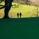 Two people walking in Stanmer park