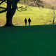 Two people walking in green fields