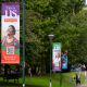 This is US banners attached to lampposts, next to leafy trees