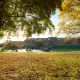 View of the Library from the other side of the square. The lawn is covered in leaves