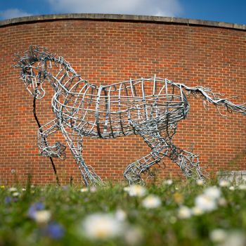 Prissy the Cob Horse