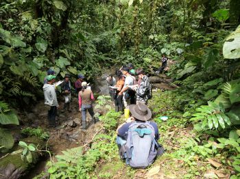 Paraecologists at work in Intag, Ecuador