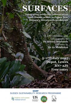 SURFACES exhibition poster