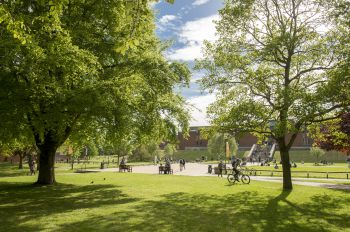 University of Sussex Library