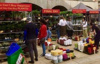 Houseplant sale