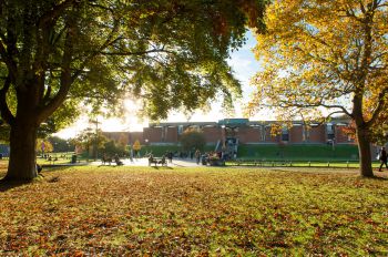 View of the Library from the other side of the square. The lawn is covered in leaves