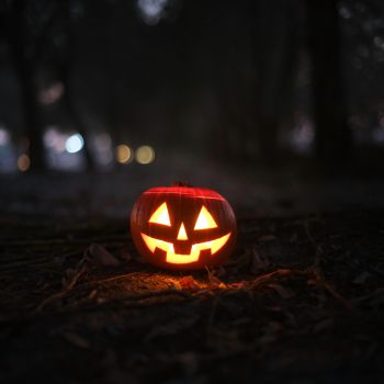 A lit Jack O Lantern in the dark