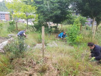 People working together in the forest food garden
