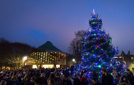 Christmas tree with lights on in Library Square