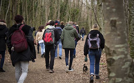 Group of students walking in woodland