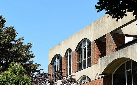 View of trees and sky above Falmer House