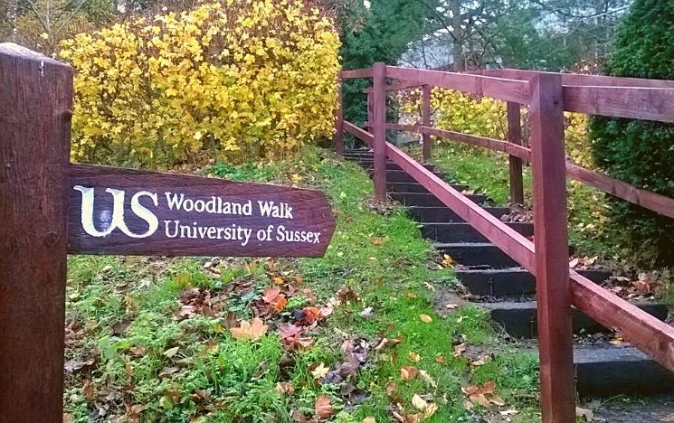 Outdoor stairs path and wooden sign indicating woodland walk, University of Sussex