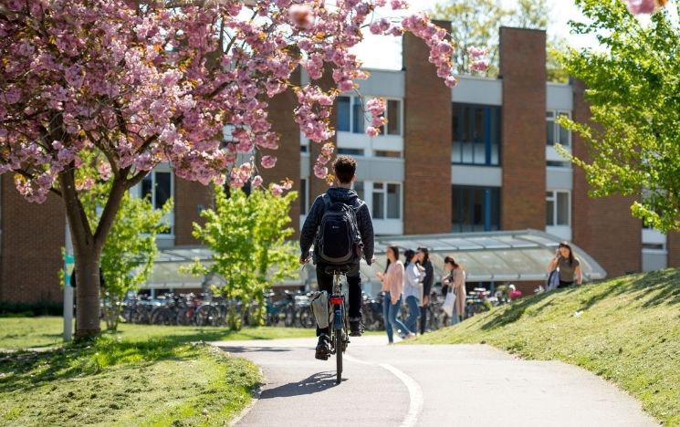 student cycling on campus under a blossomed tree