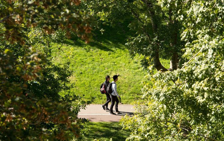 Students walking along the tree-lined Arts Path, the main route through the heart of the Sussex campus