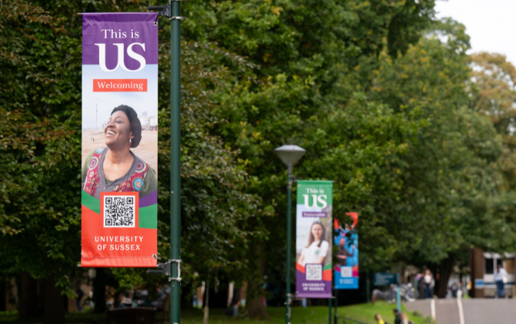 Flags on the lamp posts across campus showcasing notable people from University of Sussex