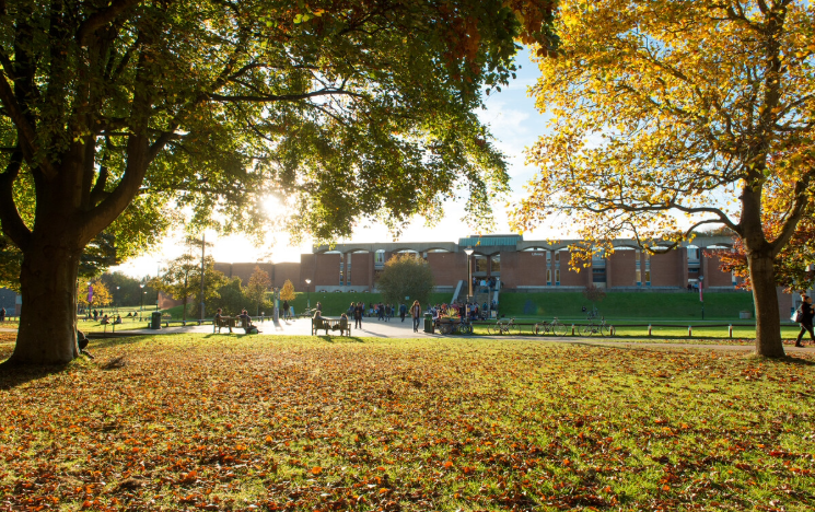 A view across Library Square with autumnal trees in the foreground