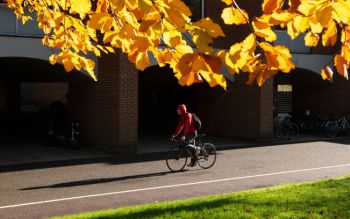 A cyclist on campus with an Autumn tree in the foreground