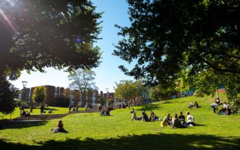 Sussex students relaxing on the grass on campus, with trees surrounding them